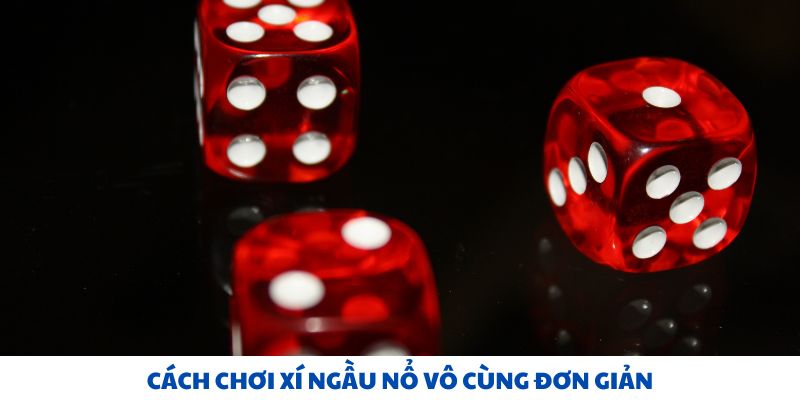 Cách chơi xí ngầu nổ casino.word vô cùng đơn giản