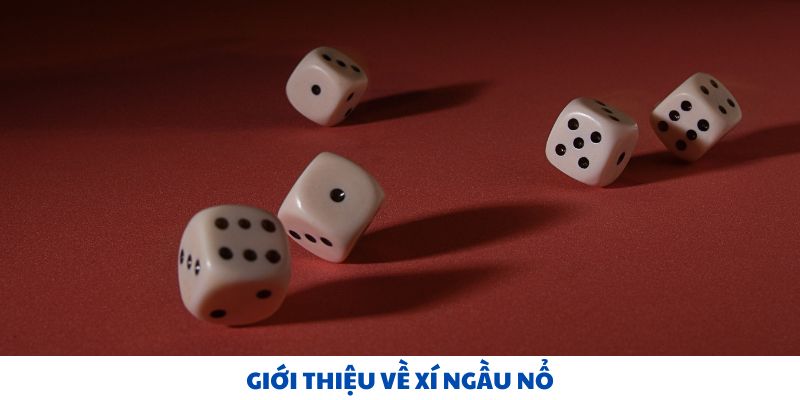 Giới thiệu về xí ngầu nổ casino.word